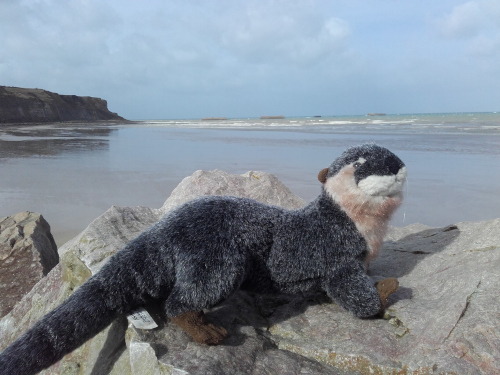 une loutre qui peint